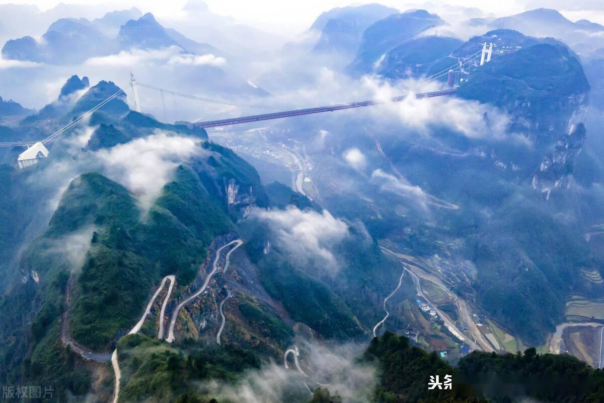 动物帮帮忙保卫家园